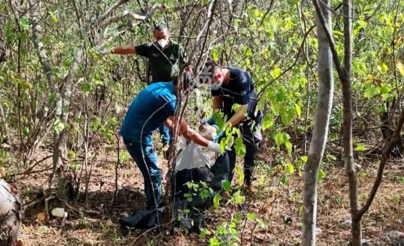 Ossada humana é encontrada em mata de Canindé